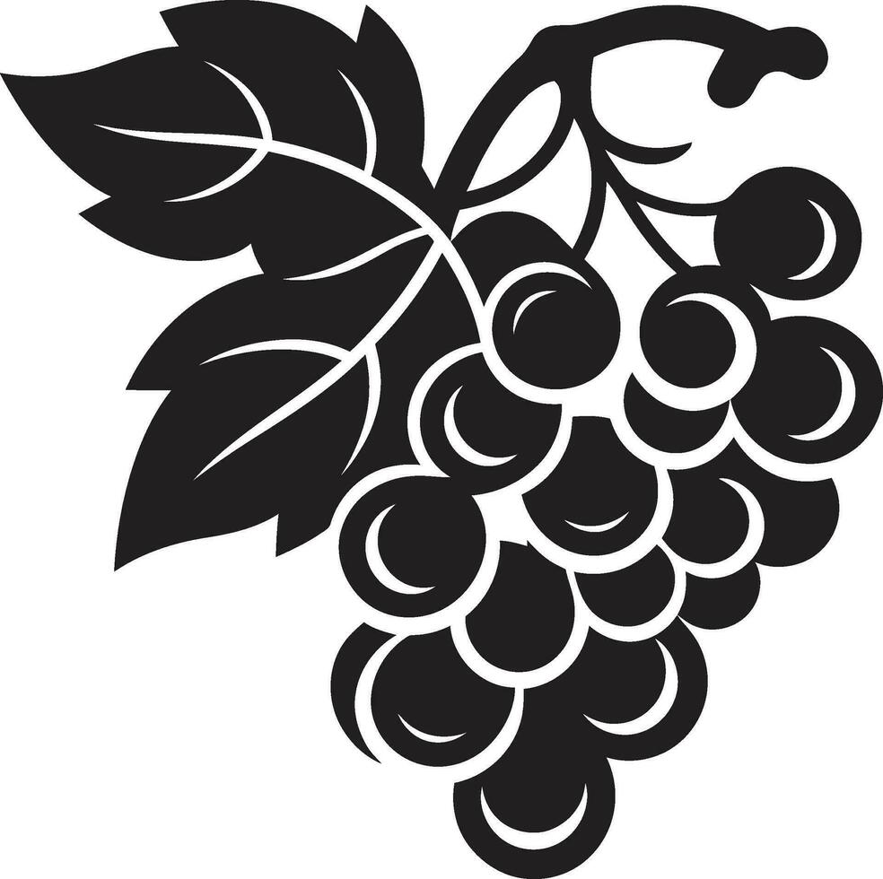 Vector Vino Elegant Grape Illustrations The Art of Grapes Vector Illustration Collection