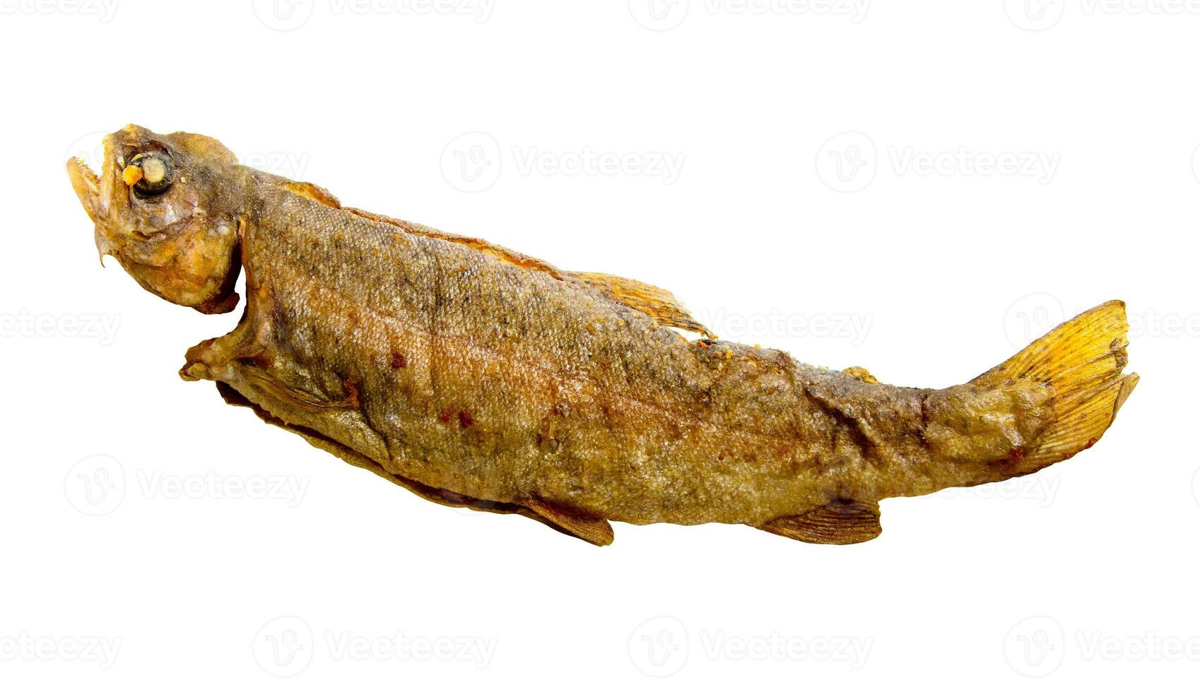 fried georgian river trout isolated on white photo