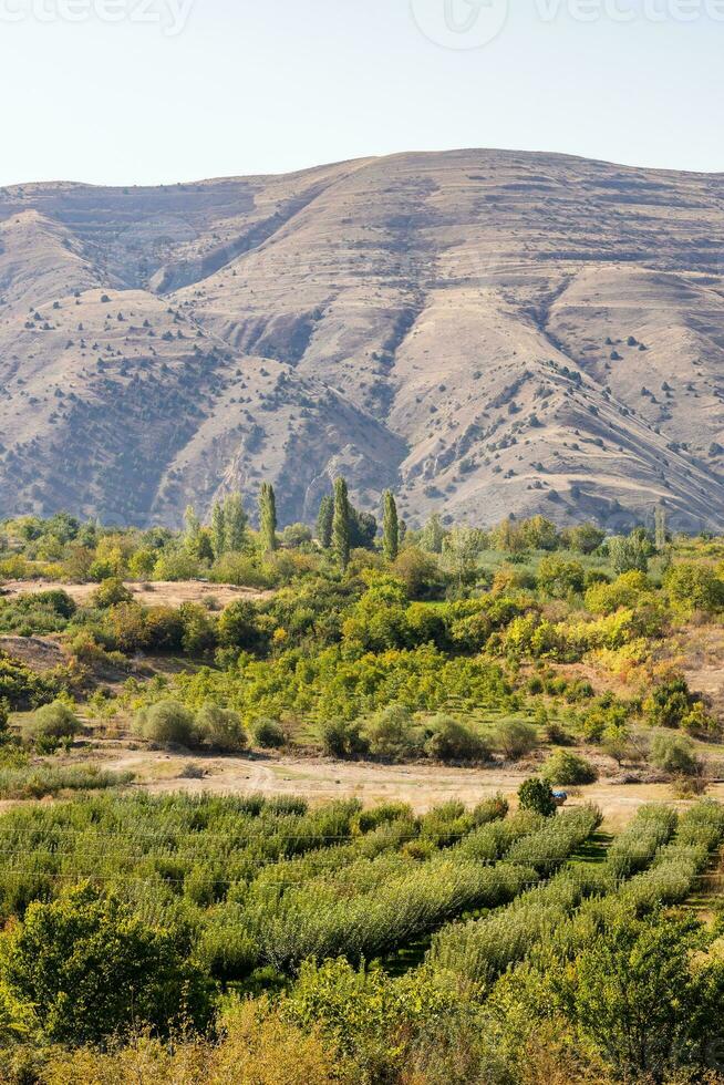 paisaje en ararat región de Armenia en otoño foto