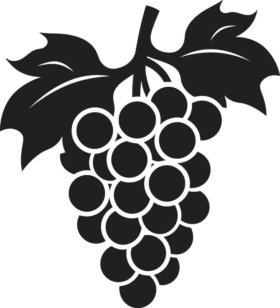 vectorizado viñedos uva ilustraciones abundar uvas como Arte vector visiones soltado