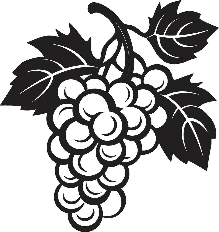 From Vine to Vector The Grapes Evolution Vector Artistry and Grapes A Perfect Blend