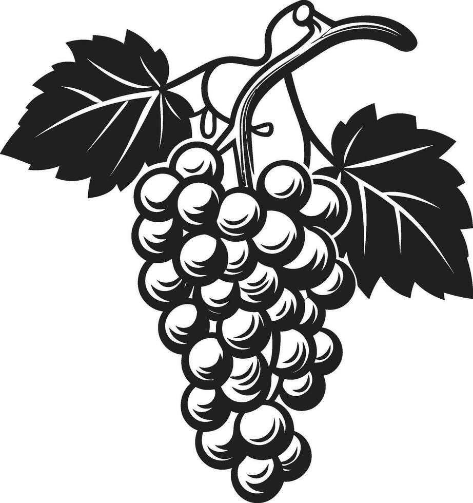 Grapes in Graphic Design Vector Inspirations Vector Vino The Grapes Artistic Transformation