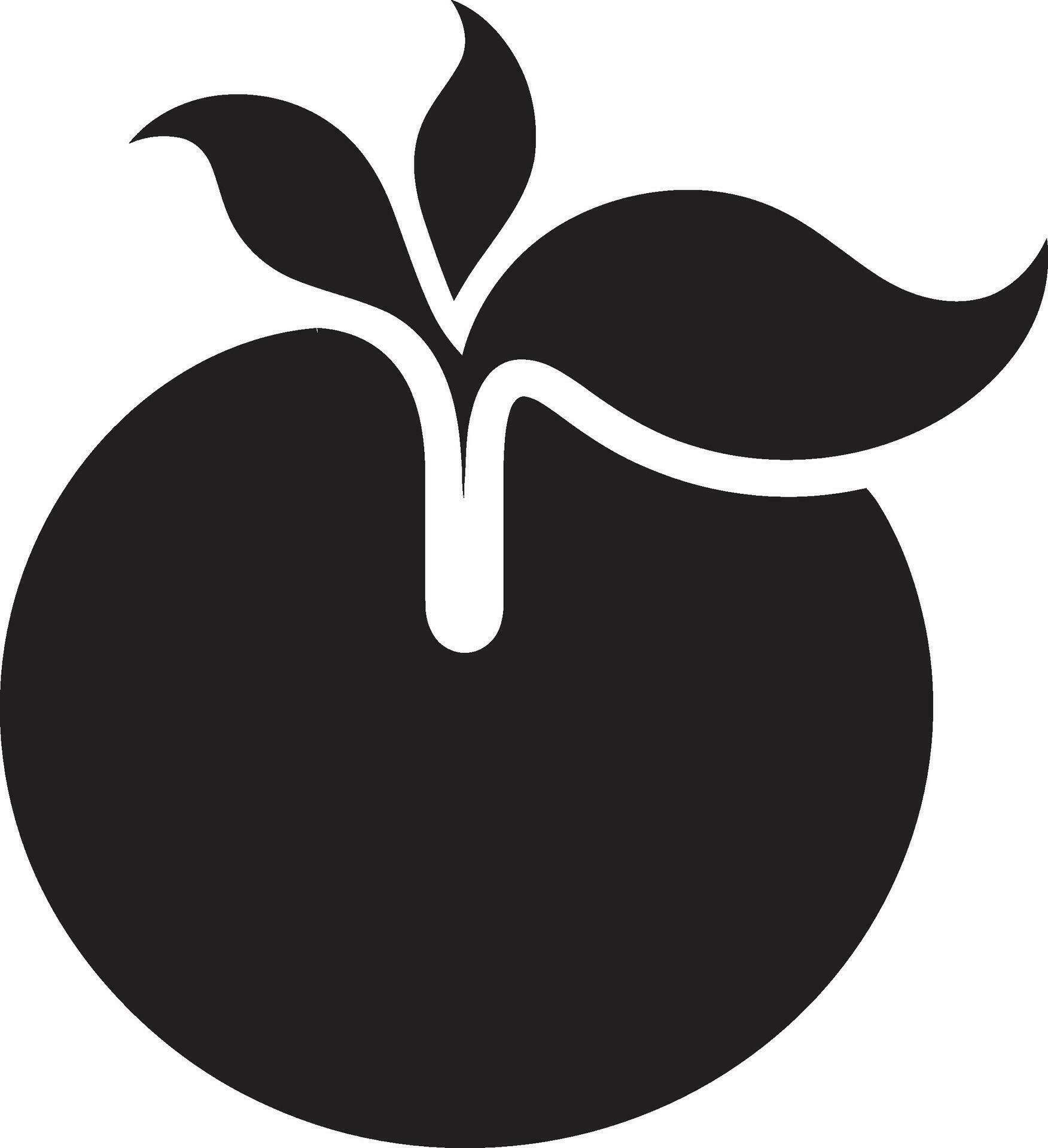 Orange Vector Art Unleashing Your Imagination The Significance of