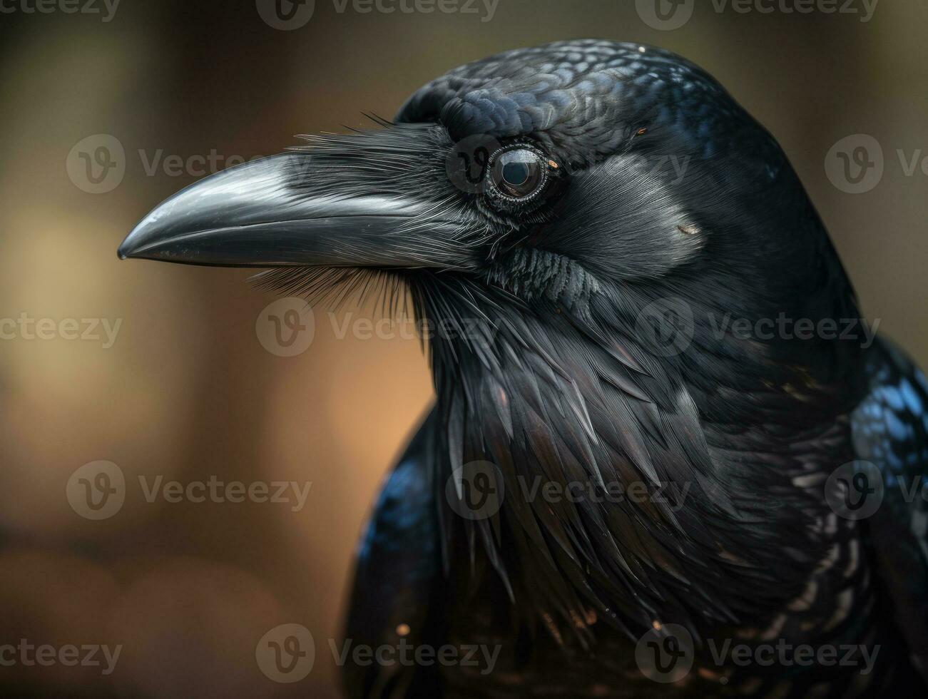 Rook bird portrait AI Generated photo