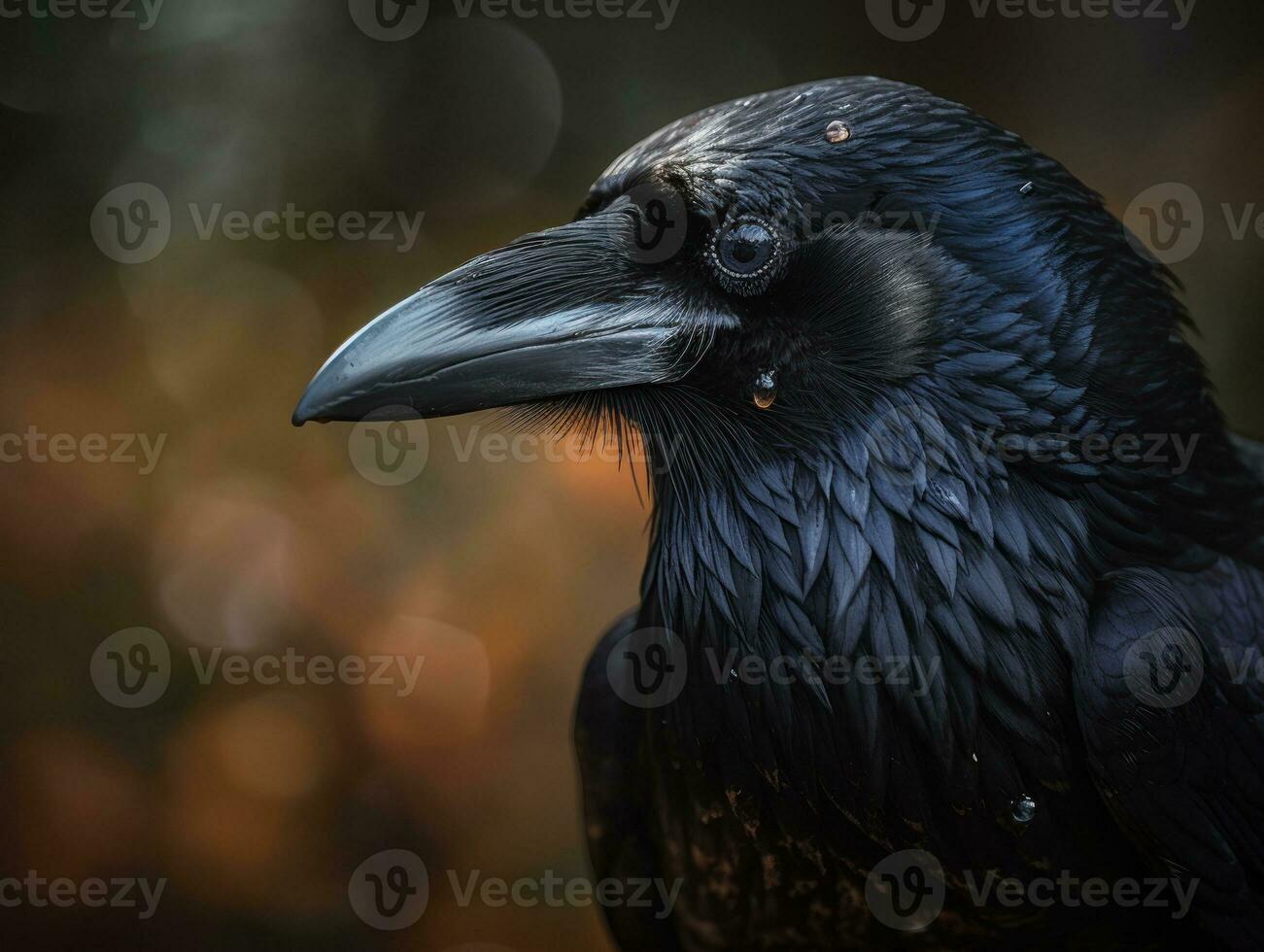 Raven bird portrait AI Generated photo