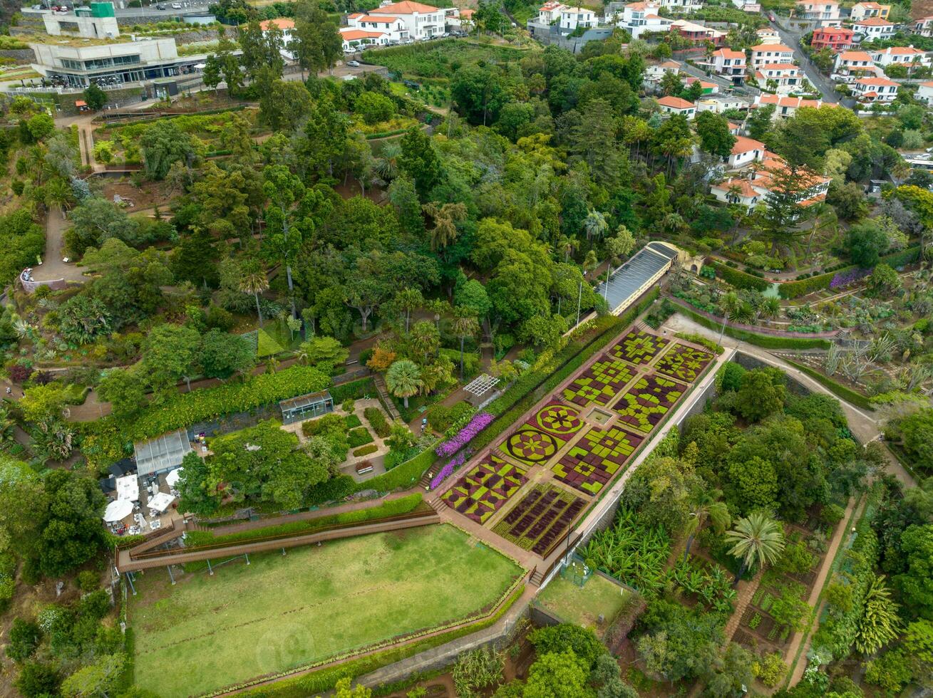 botánico jardín monte - funchal, Portugal foto