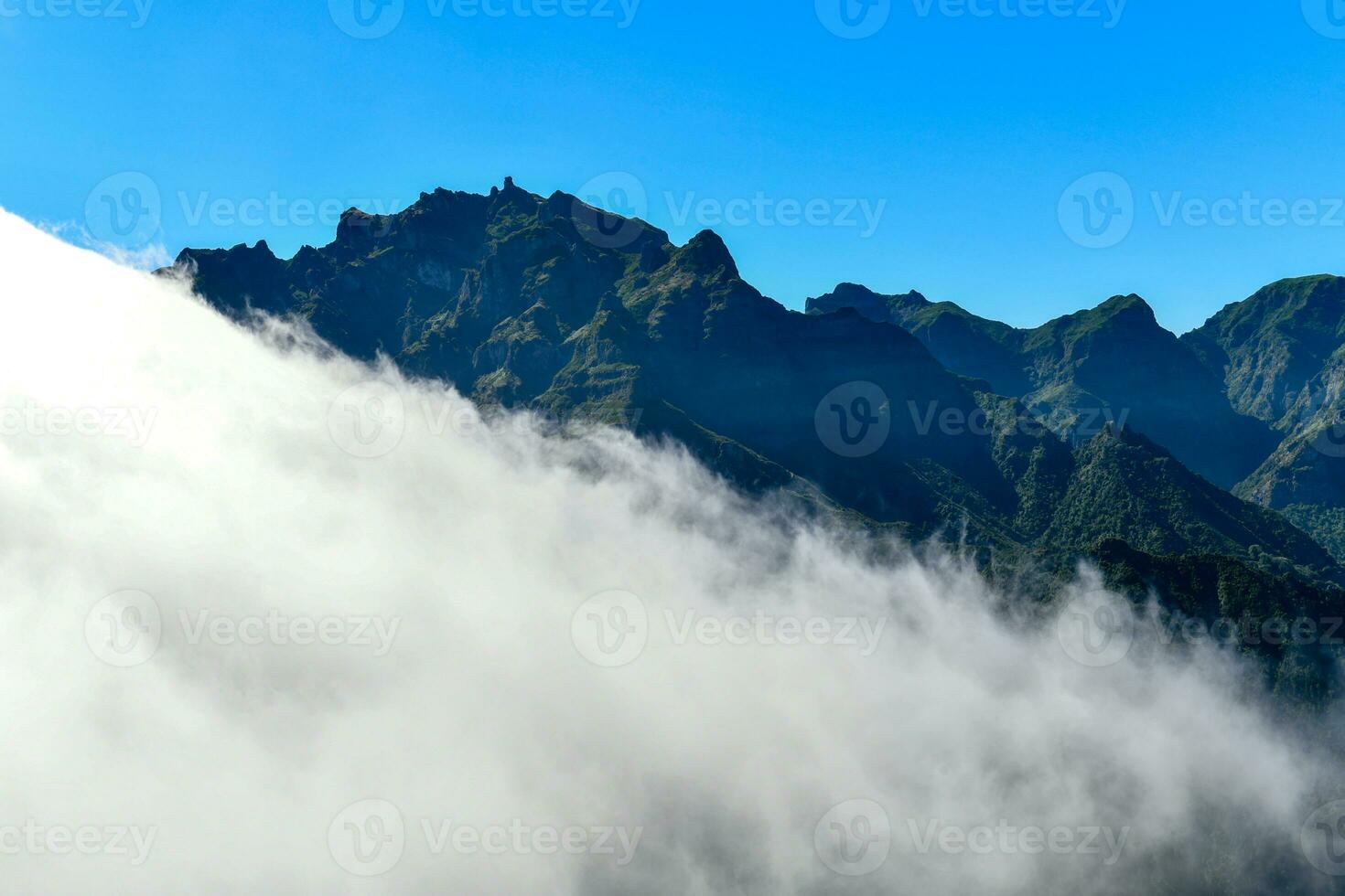 Vargem - Madeira, Portugal photo