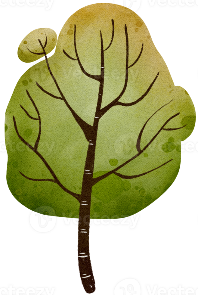 Tree shape Watercolor png