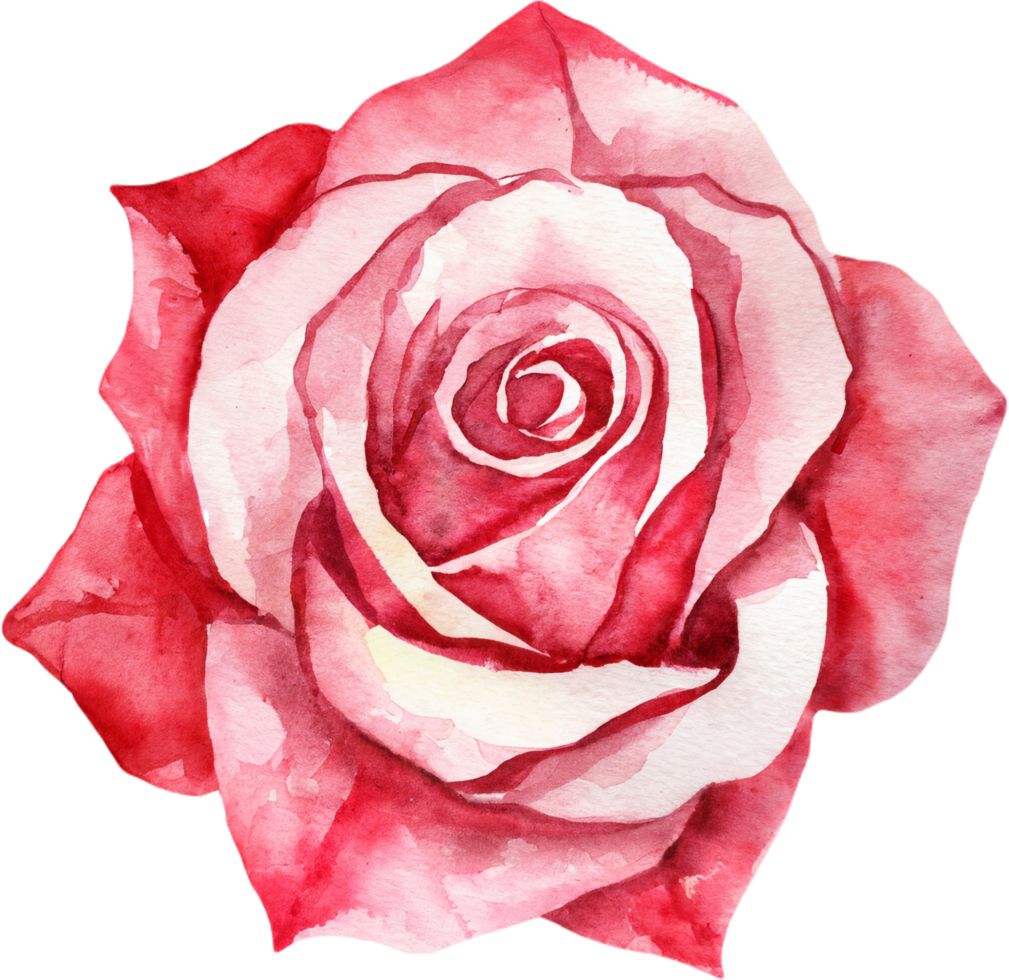 roze roos aquarel.ai gegenereerd png