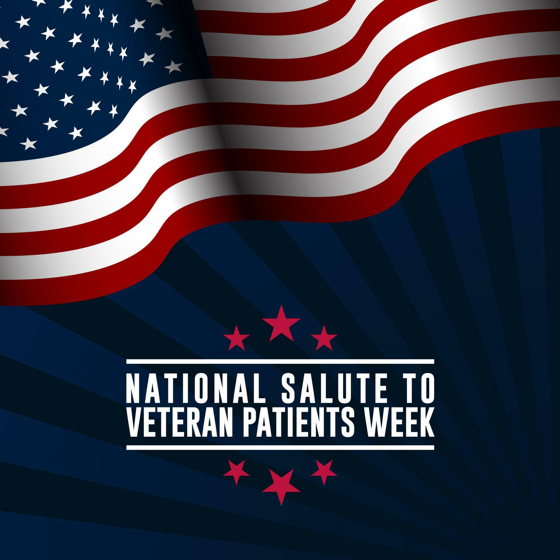 National Salute To Veterans Patients Week Background Vector