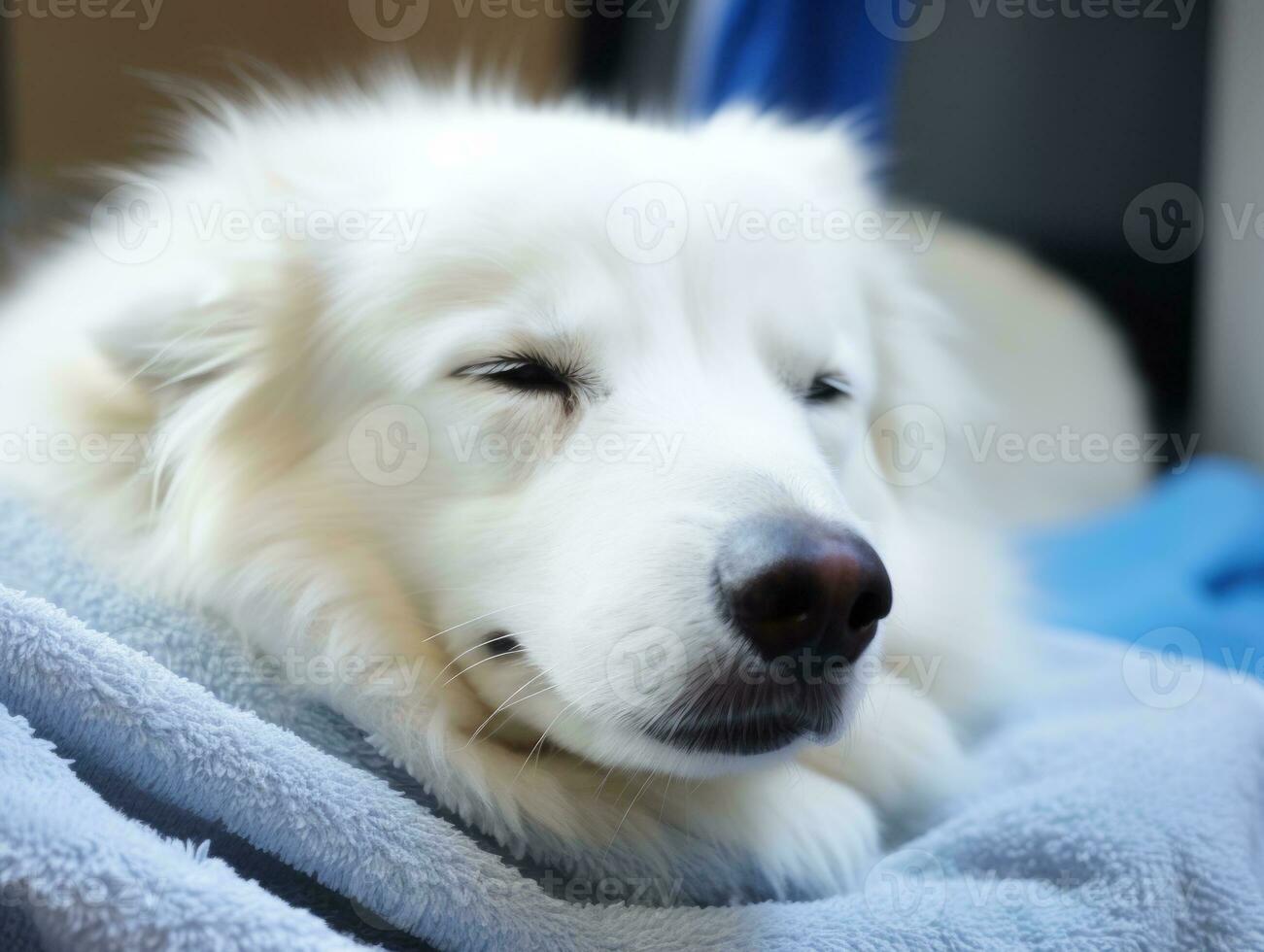 Serene dog enjoying a massage at a pet spa AI Generative photo