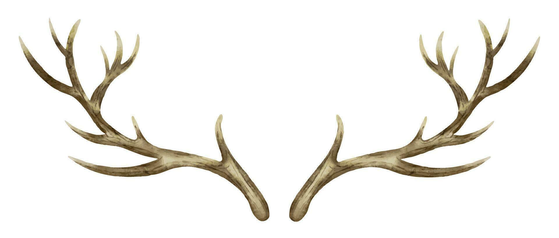 Light Brown Antlers Light Brown Antlers