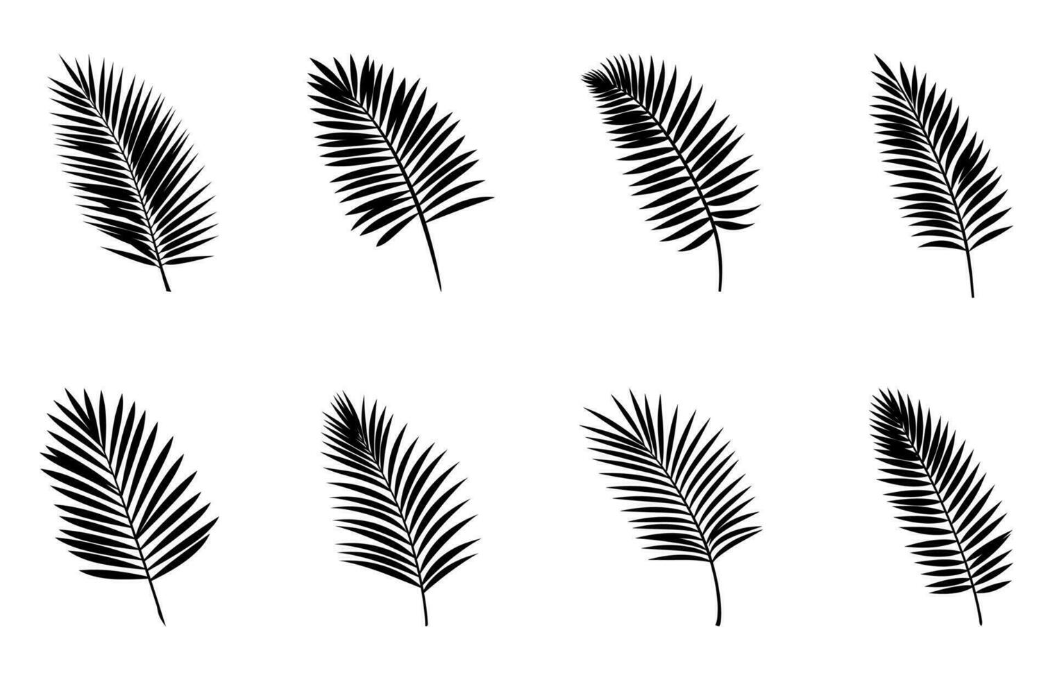 Beautiful Palm Tree Leaf Silhouettes Set vector