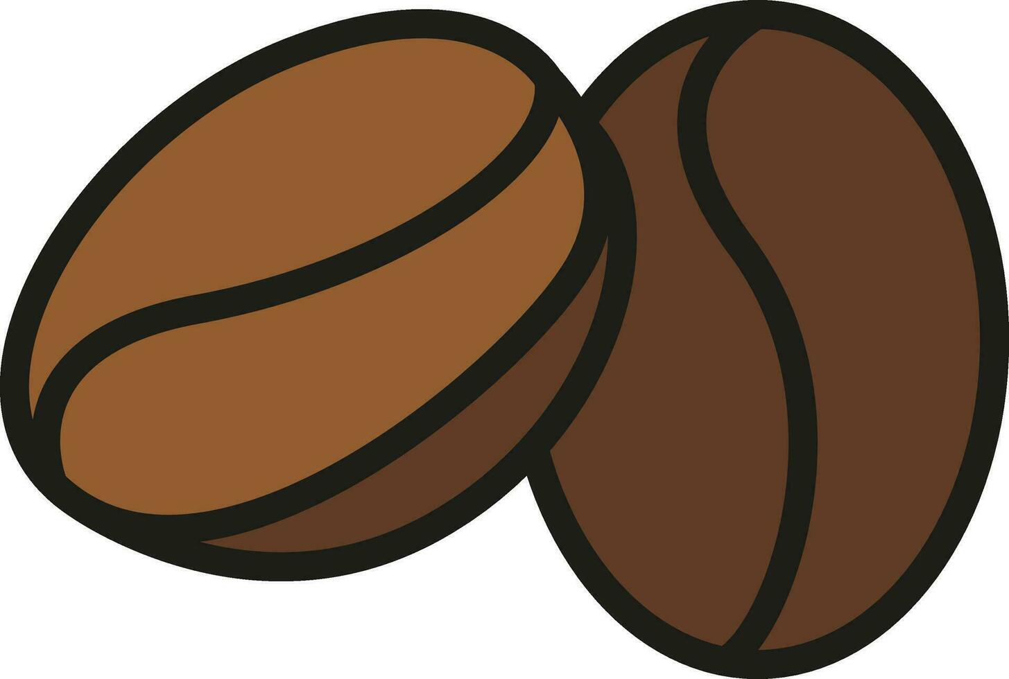 coffee bean illustration vector