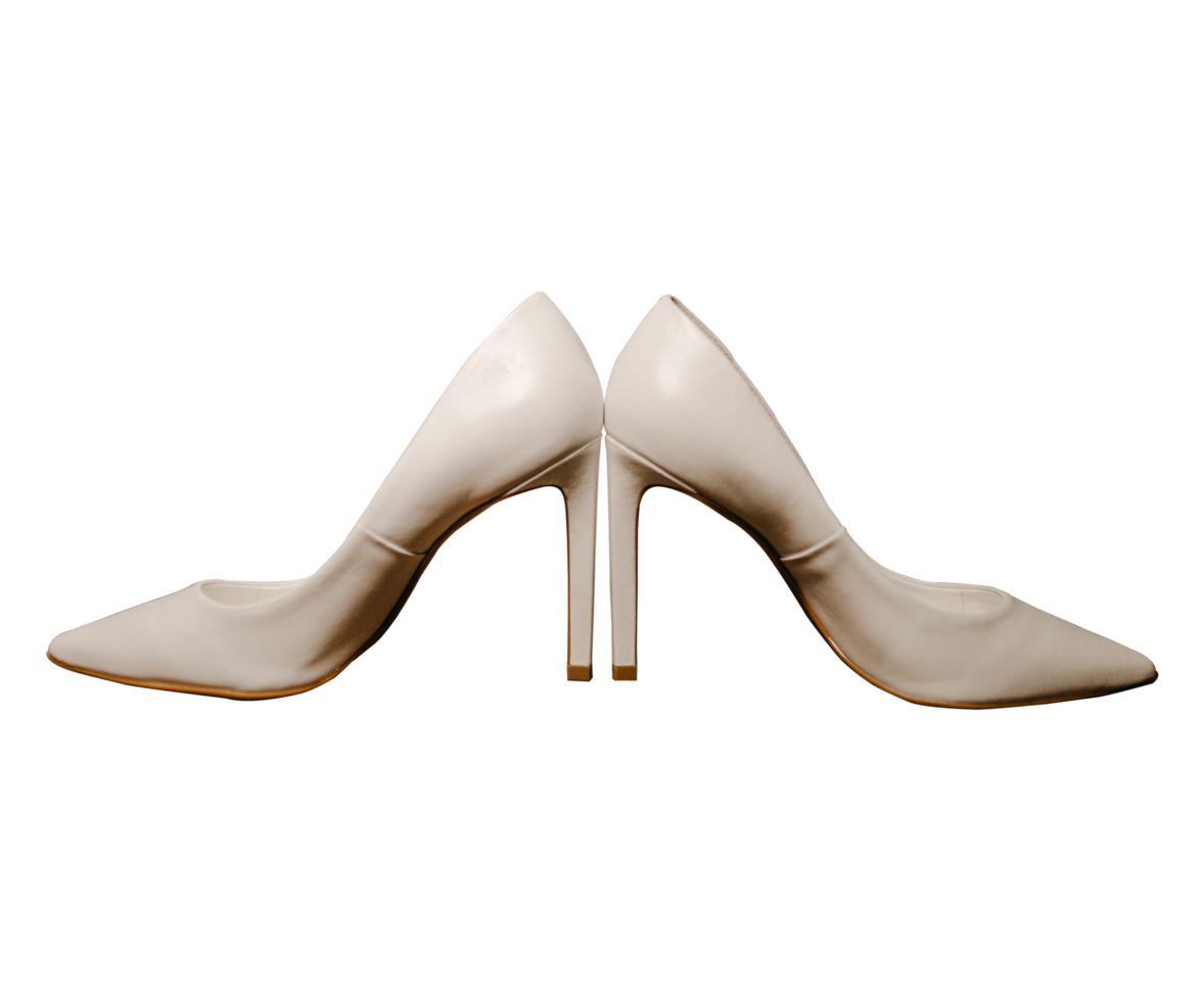 Modern shoe PNG File