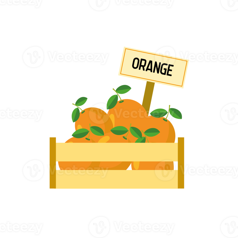 Orange in wood crate. png