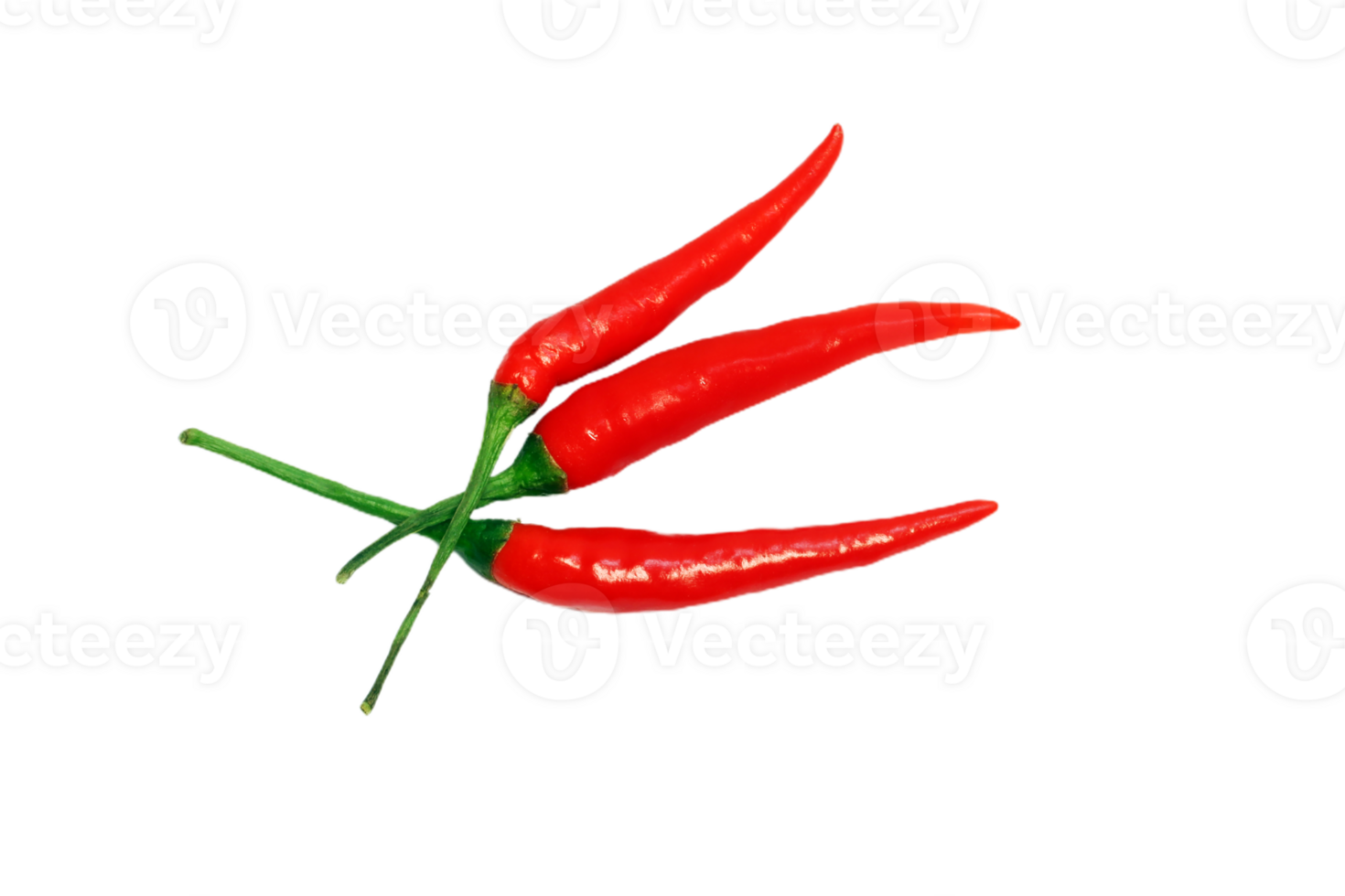 chilli pepper png transparent background