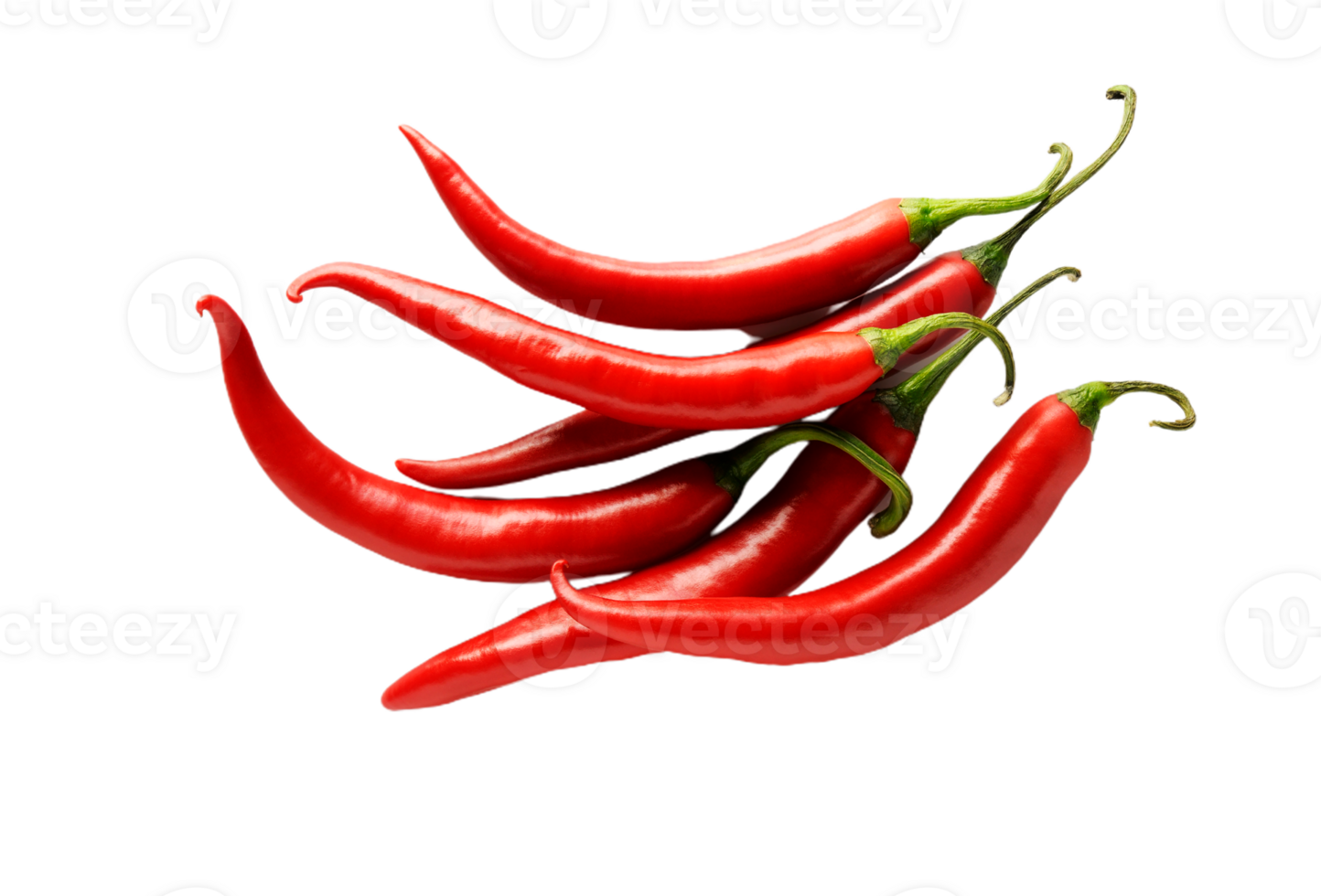 chilli pepper png transparent background