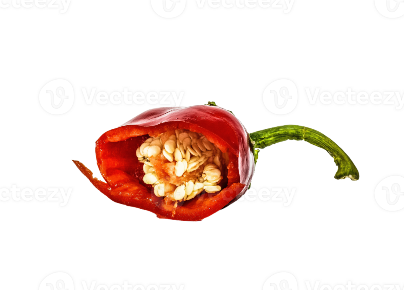chilli pepper png transparent background