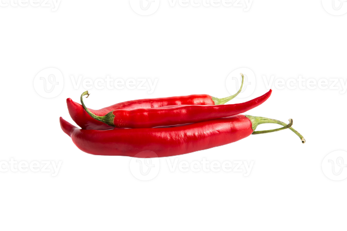 chilli pepper png transparent background