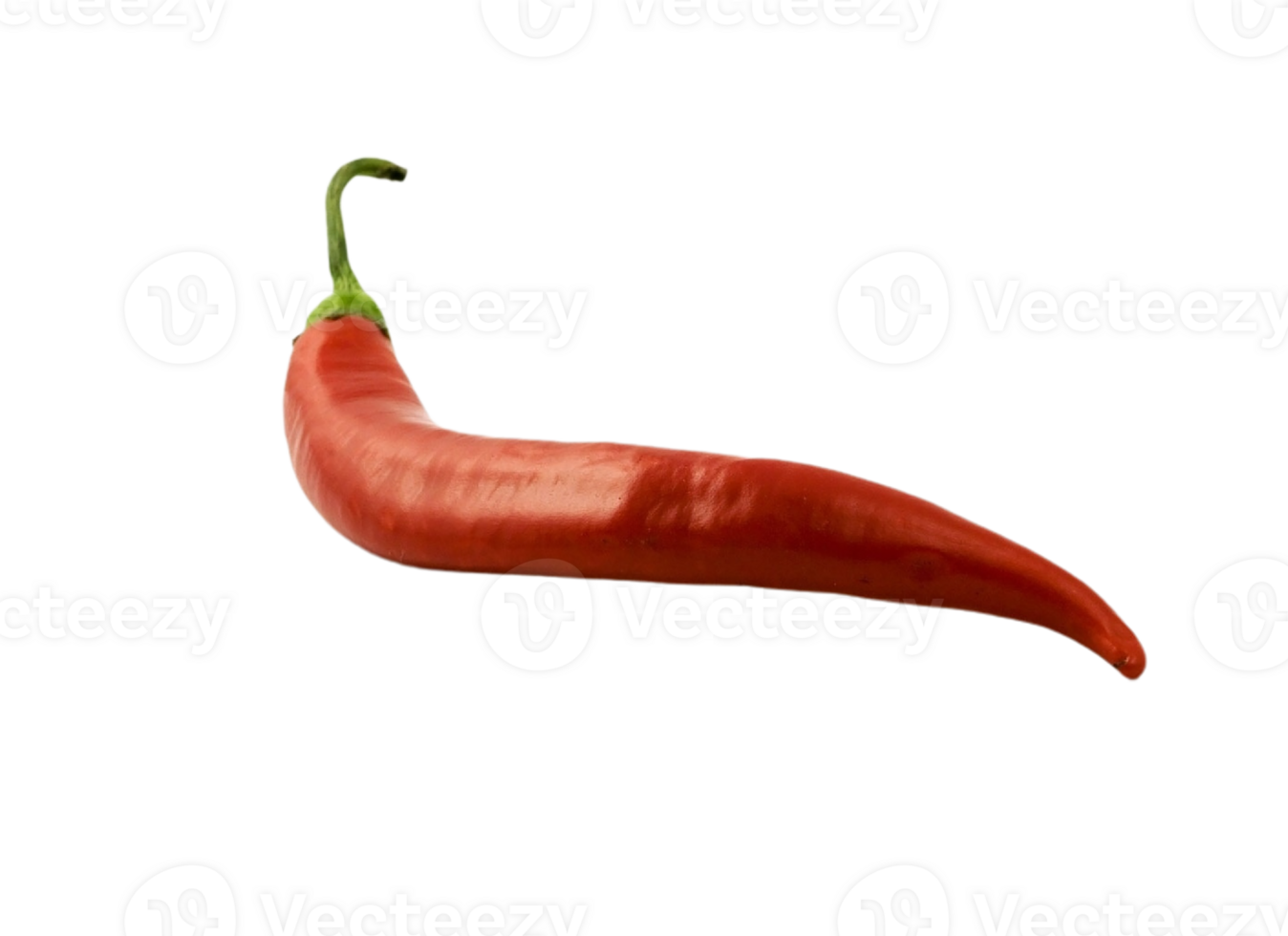 chilli pepper png transparent background