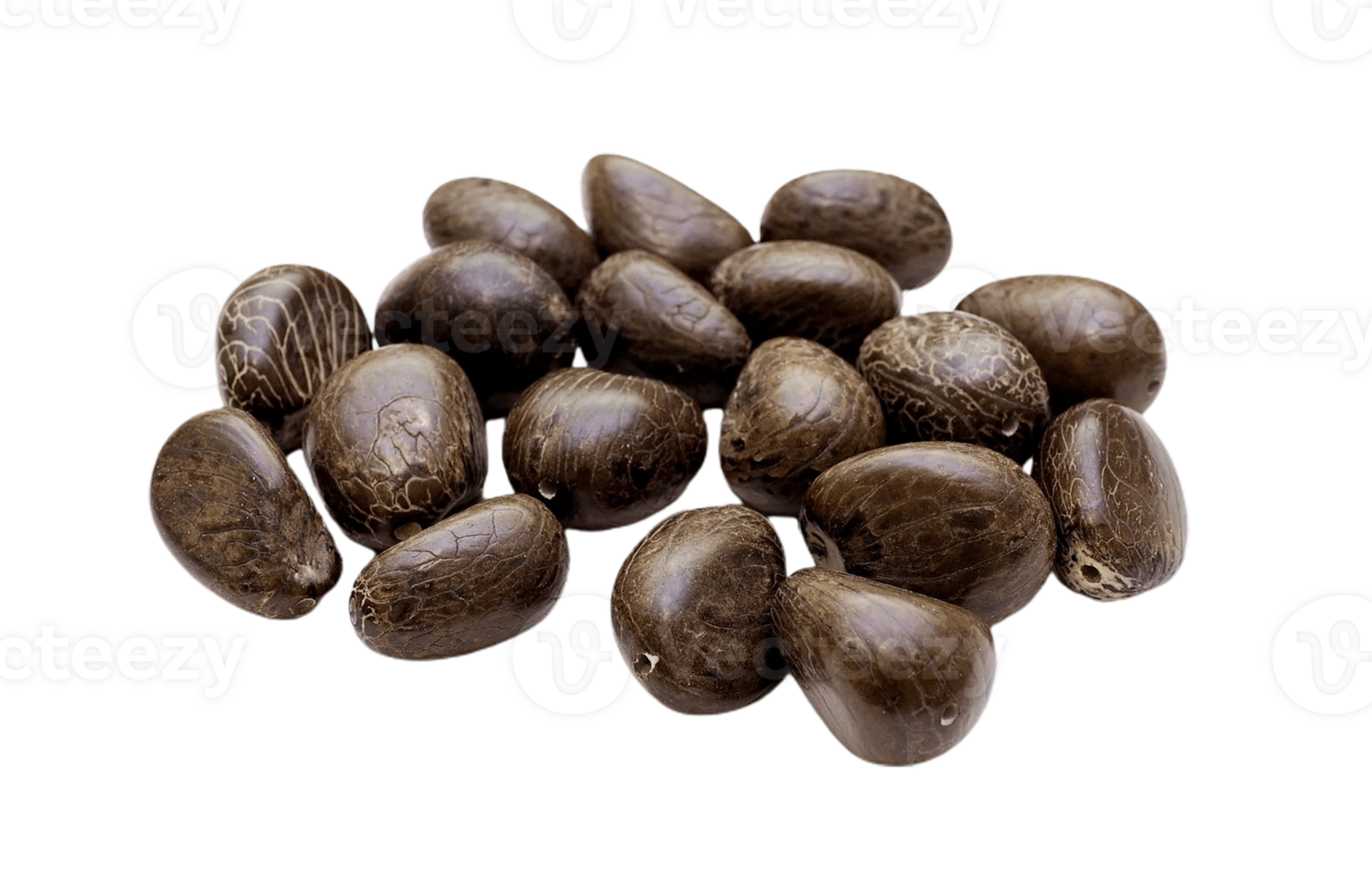 Black Beans png transparent background