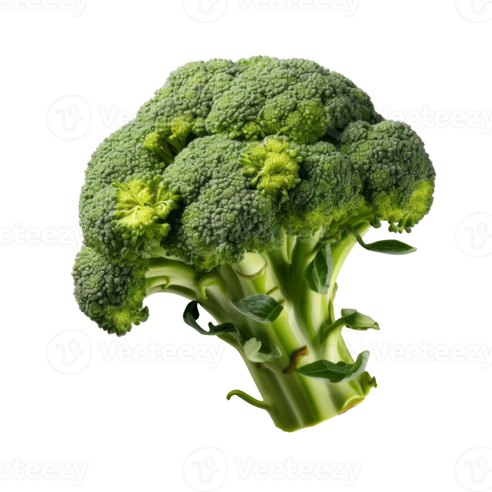 Broccoli isolated on transparent background, created with generative AI png