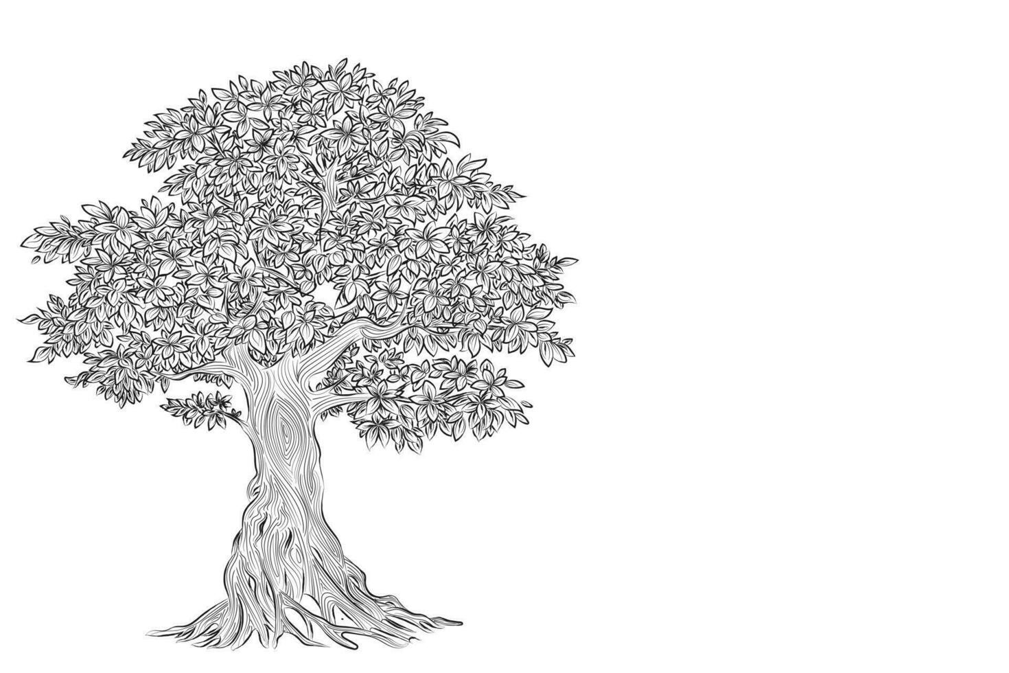 retro estilo naturaleza ilustración con detalles. aceituna árbol trompa. vector