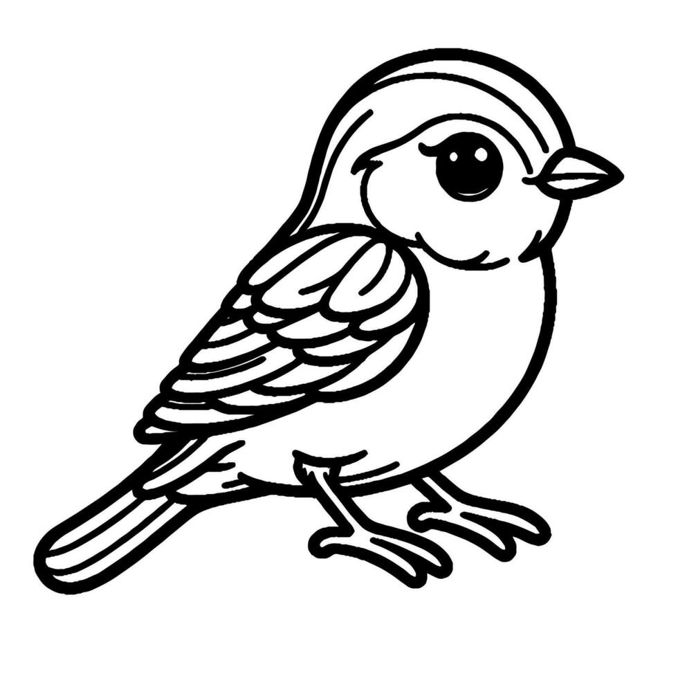 Bird coloring book vector