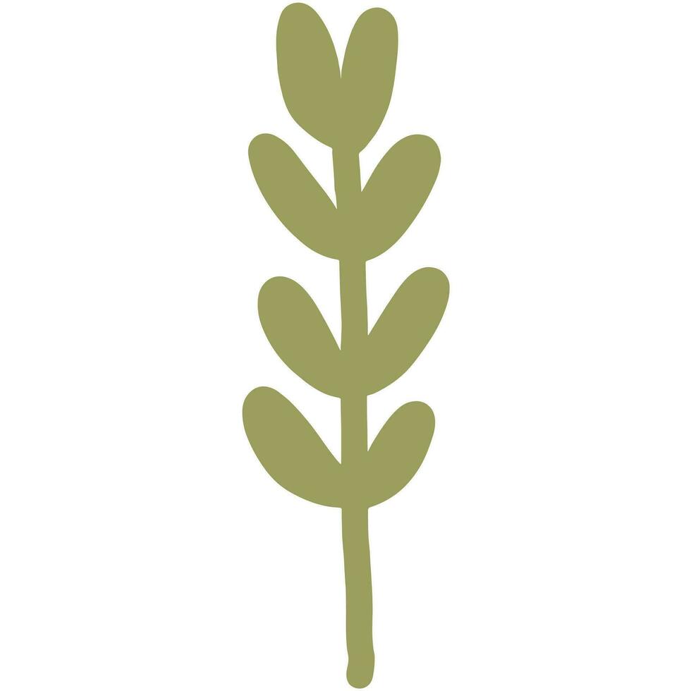 A simple green plant with leaves stacked vertically on a slender stem. vector