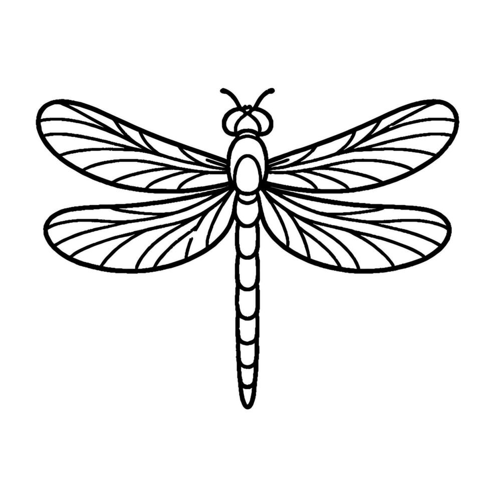 Dragonfly coloring book vector