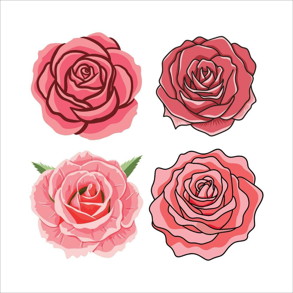 conjunto de rosado Rosa vector ilustración