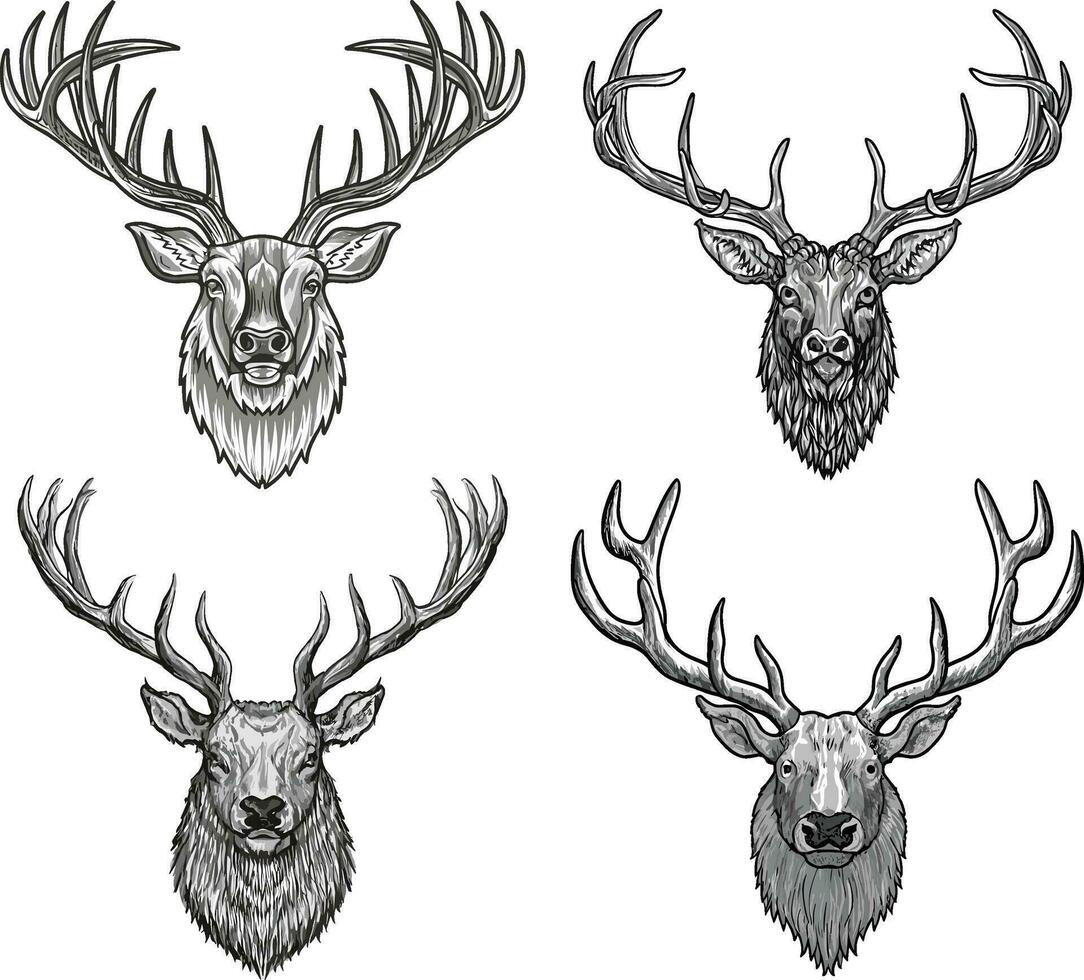 Elk head icon set collection illustration vector