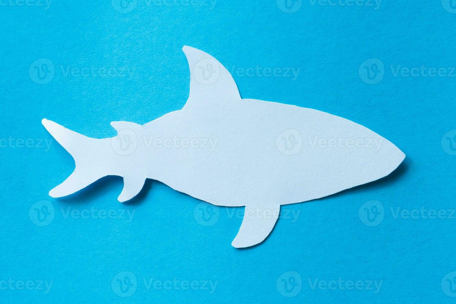 shark cartoon paper cut isolated photo
