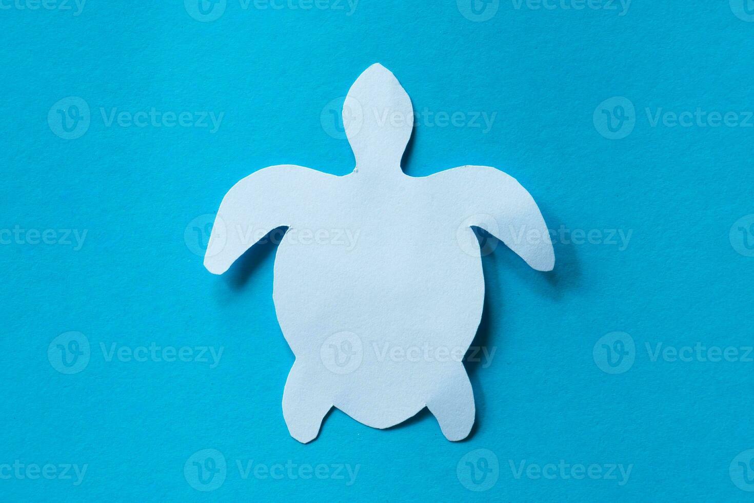 turtle paper cut isolated with shadow photo