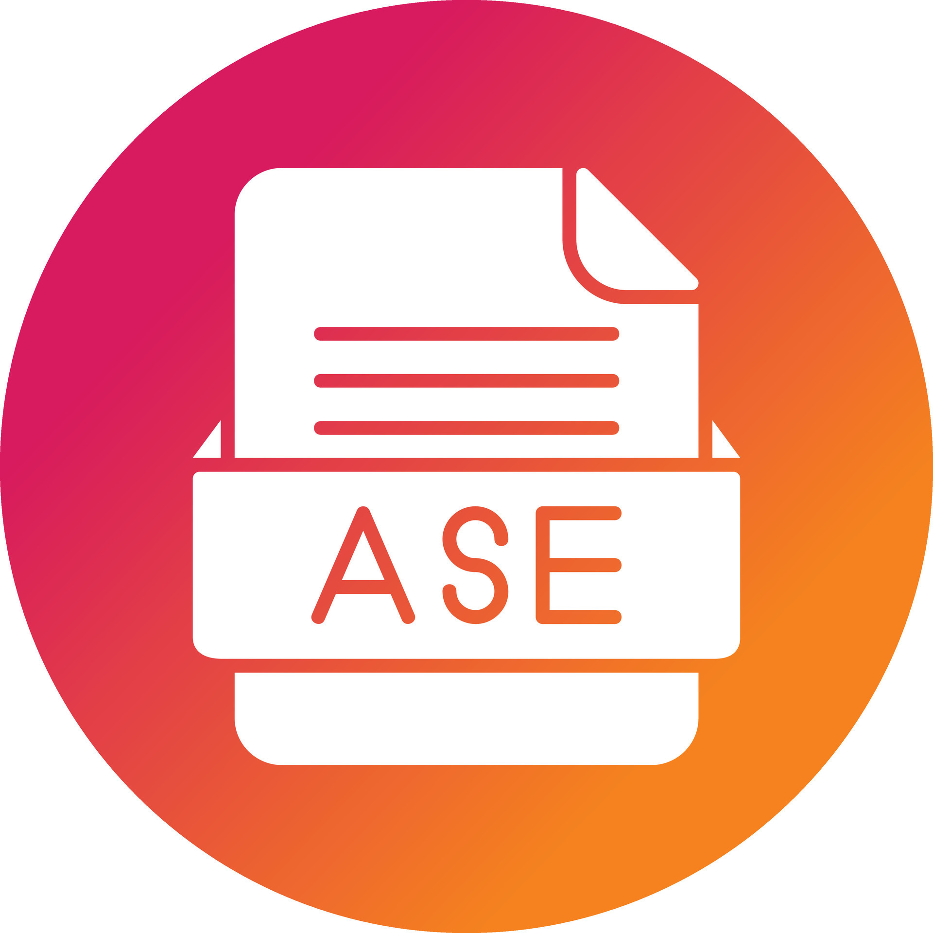 ASE File Format Vector Icon 34117514 Vector Art at Vecteezy