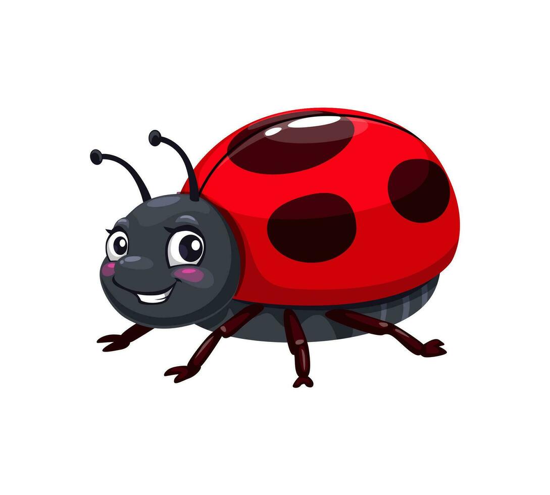Cartoon cheerful lady bug character, garden insect vector