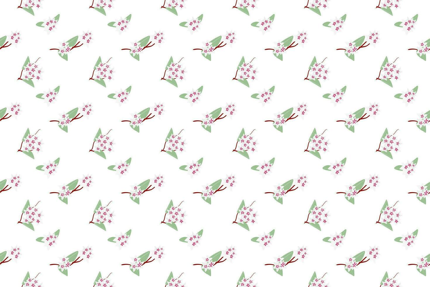 Hoya carnosa flower branch as seamless pattern background vector