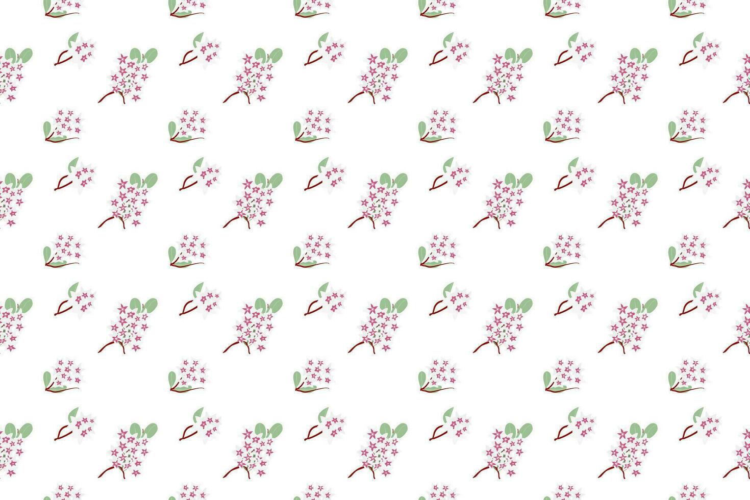 Hoya carnosa branch as seamless pattern background vector