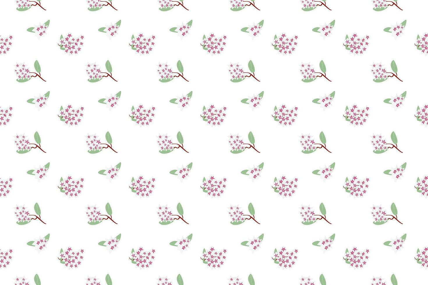tiny hoya carnosa flower as seamless pattern background vector