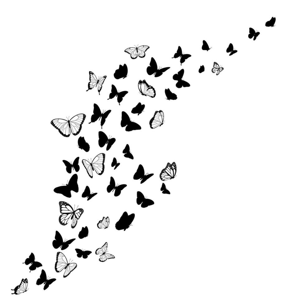 negro mariposa siluetas vector diseño elemento