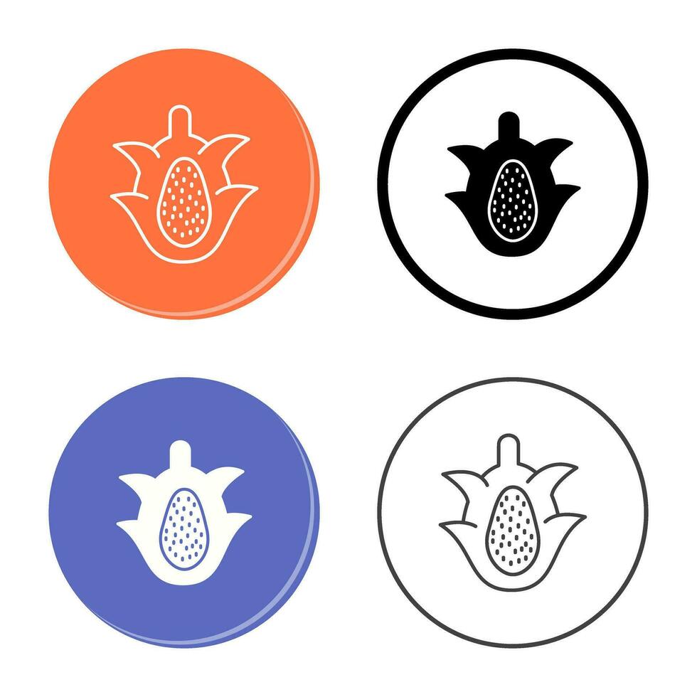 Dragon Fruit Vector Icon