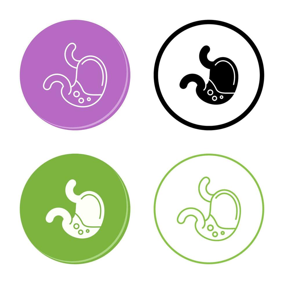 Stomach Vector Icon