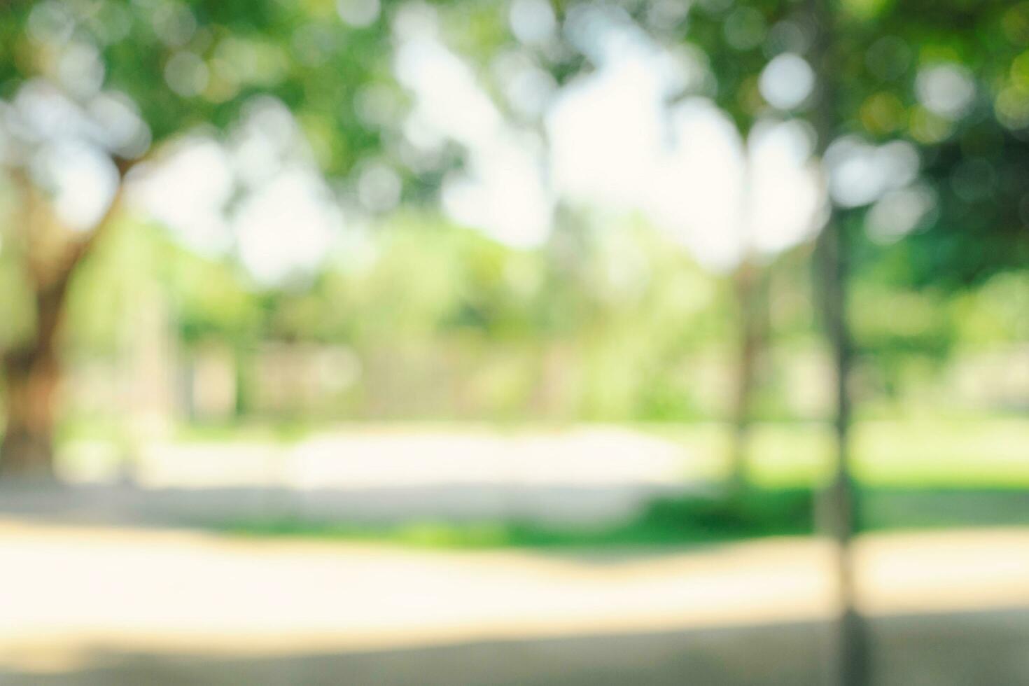 Defocused or blur with bokeh background of garden trees in sunny day photo