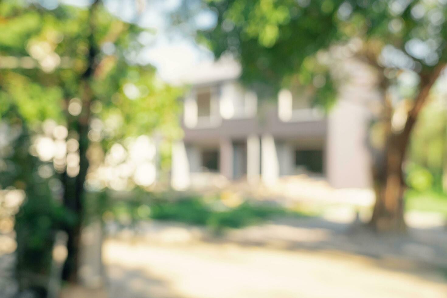 Defocused or blur with bokeh background of garden trees in sunny day photo