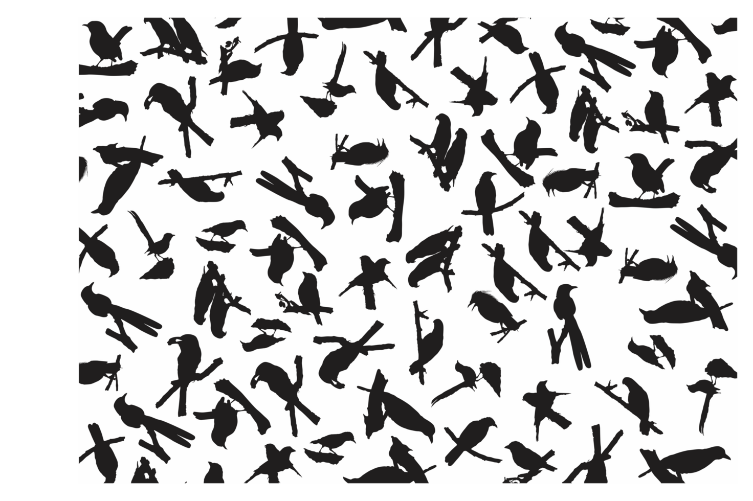 Bird Silhouette Pattern Background png