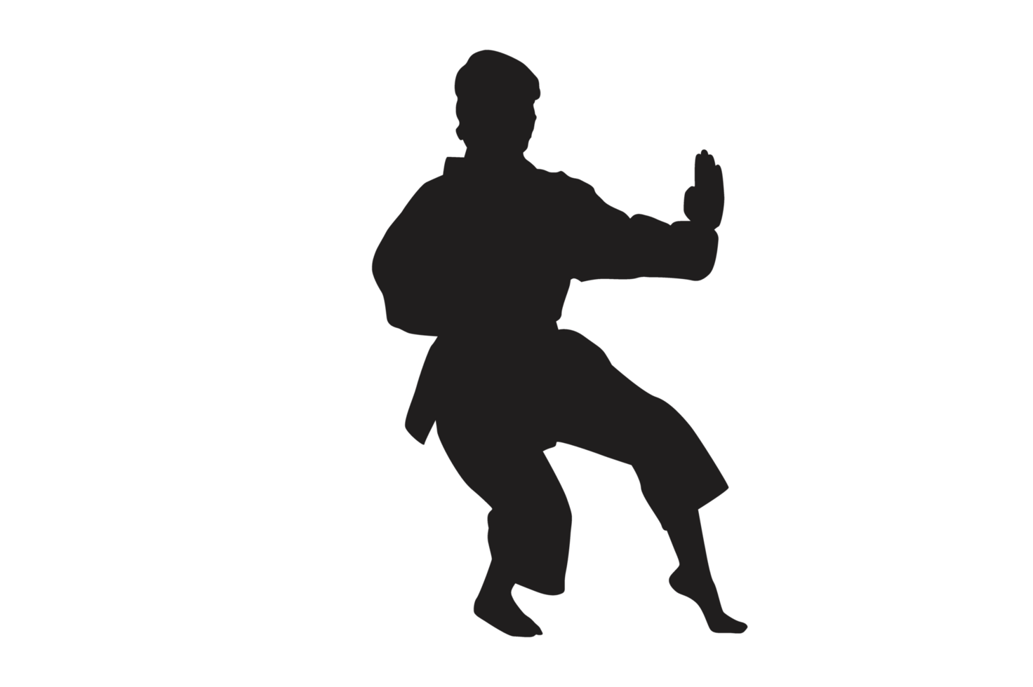 Pose Of Karate Silhouette with Transparent Background 34130519 PNG