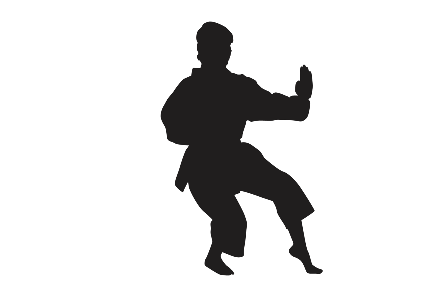 Pose Of Karate Silhouette with Transparent Background png