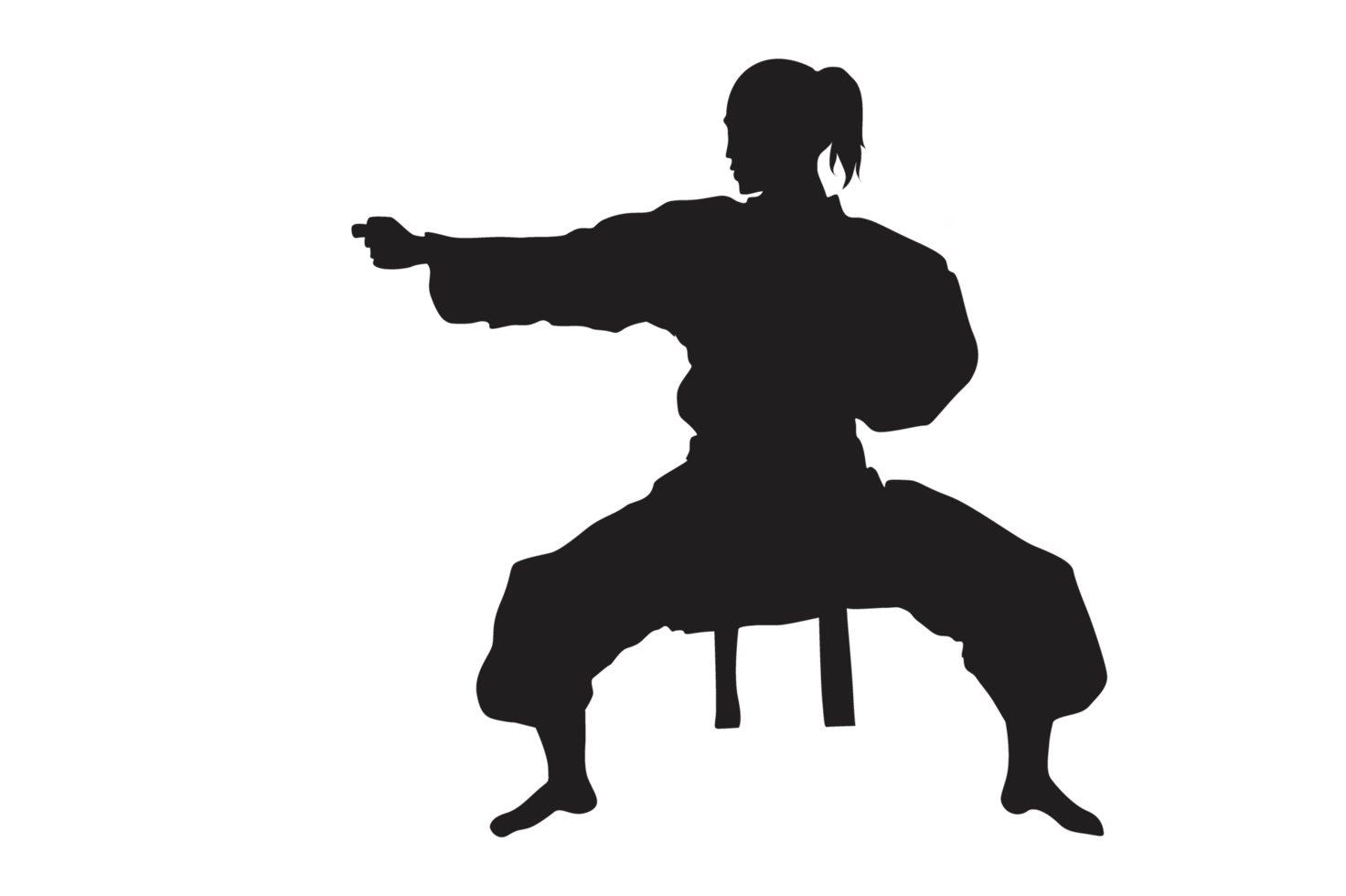 Pose Of Karate Silhouette with Transparent Background png