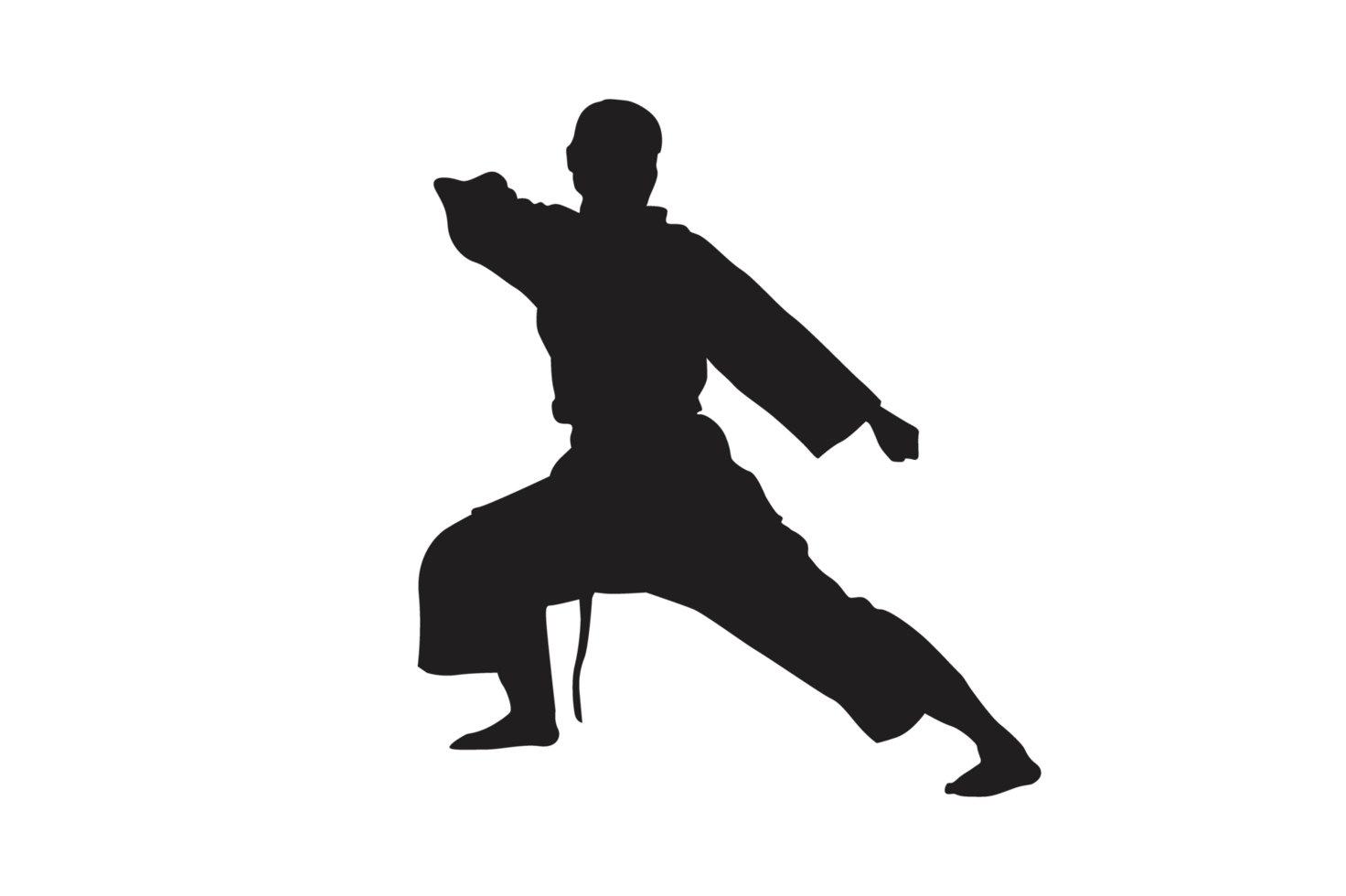 Pose Of Karate Silhouette with Transparent Background png